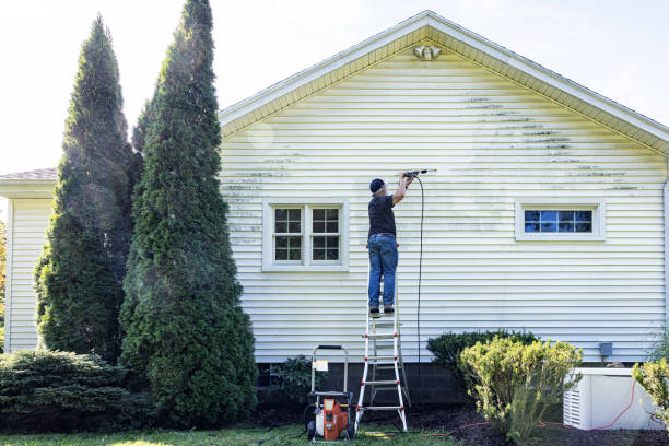 Best Roof Pressure Washing  in Chepachet, RI